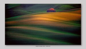 Calabria Francesco Paolo - L ' ultima luce