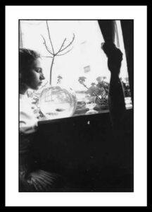 Cavalli Emanuele - La figlia Maria Letizia - Firenze 1953