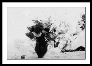Cavalli Emanuele - Natura morta